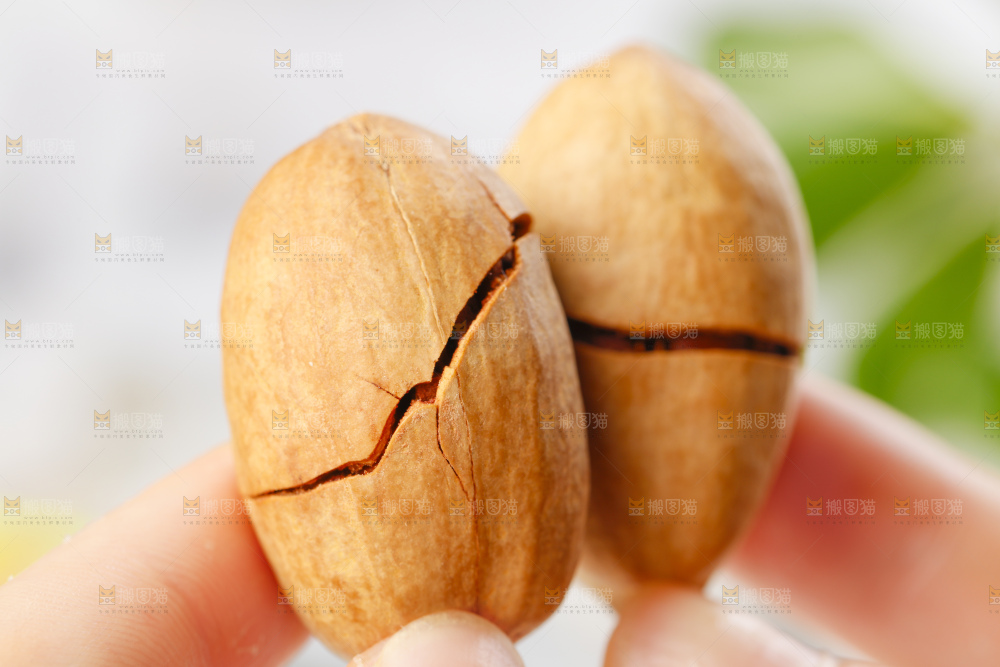 手里拿着碧根果