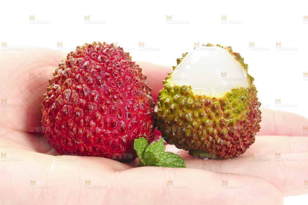 手里拿着新鲜妃子笑荔枝