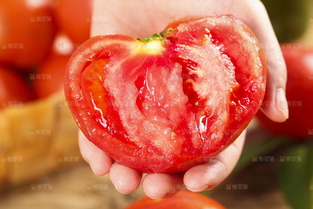 手里拿着米易沙瓤西红柿