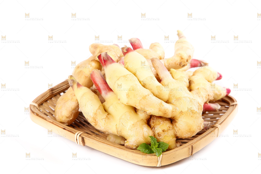 白底上的红芽姜