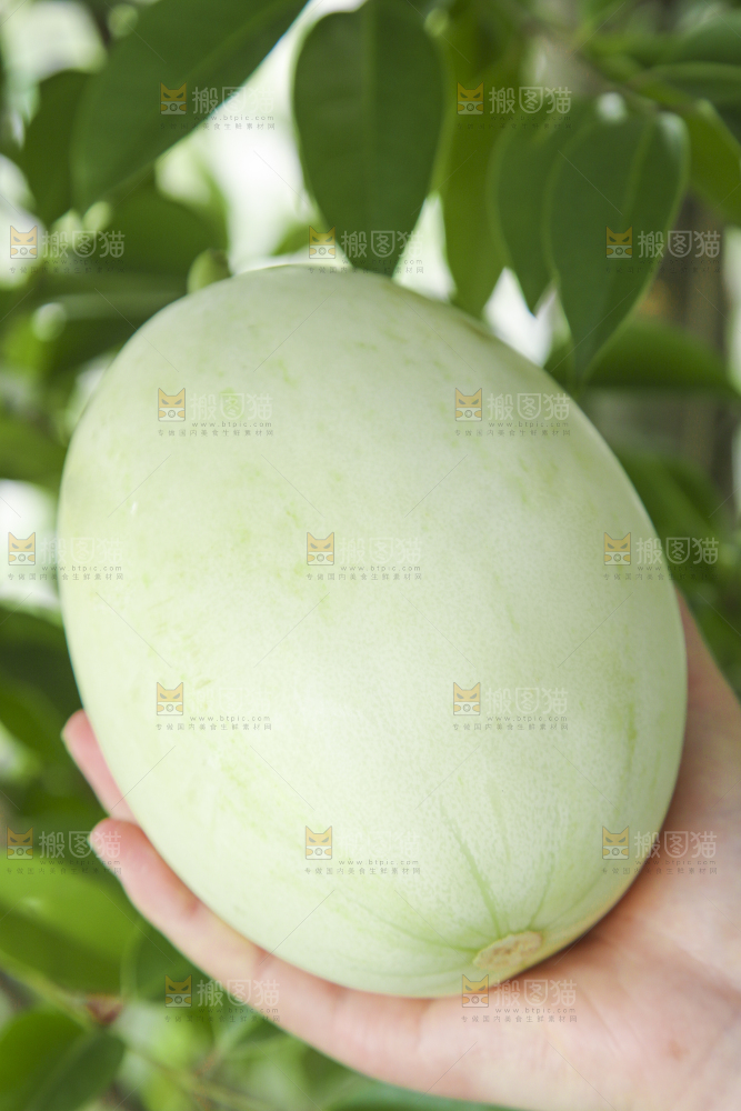 手里拿着玉菇香瓜