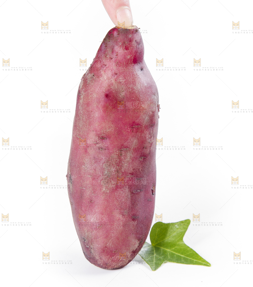 手里拿着黄心红薯