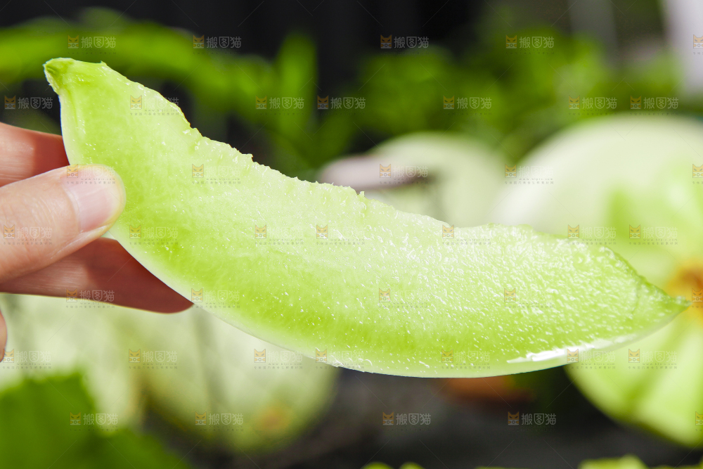 手里拿着玉菇香瓜