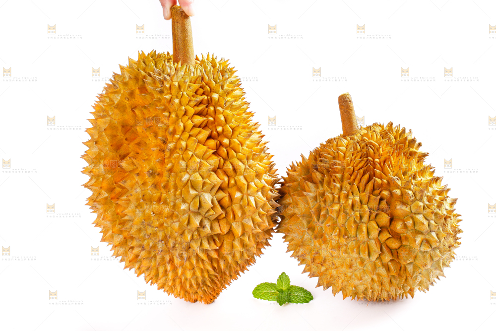 白底上放着榴莲