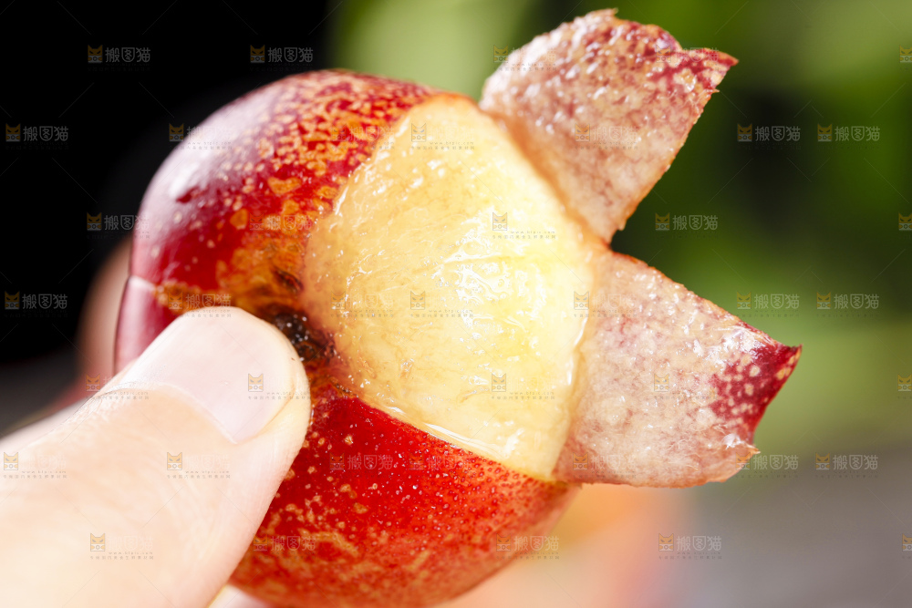 手里拿着新鲜油蟠桃