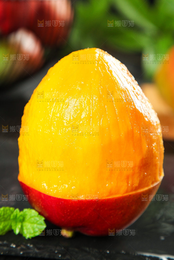 黑石板上的四川吉禄芒