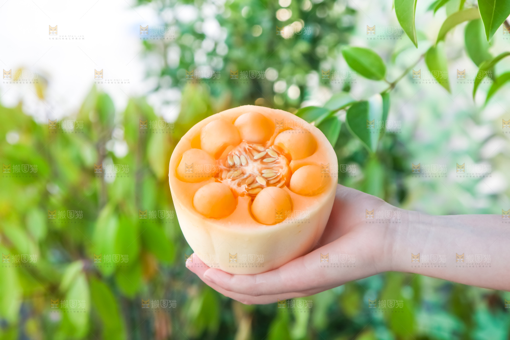 手里拿着蜜瓜