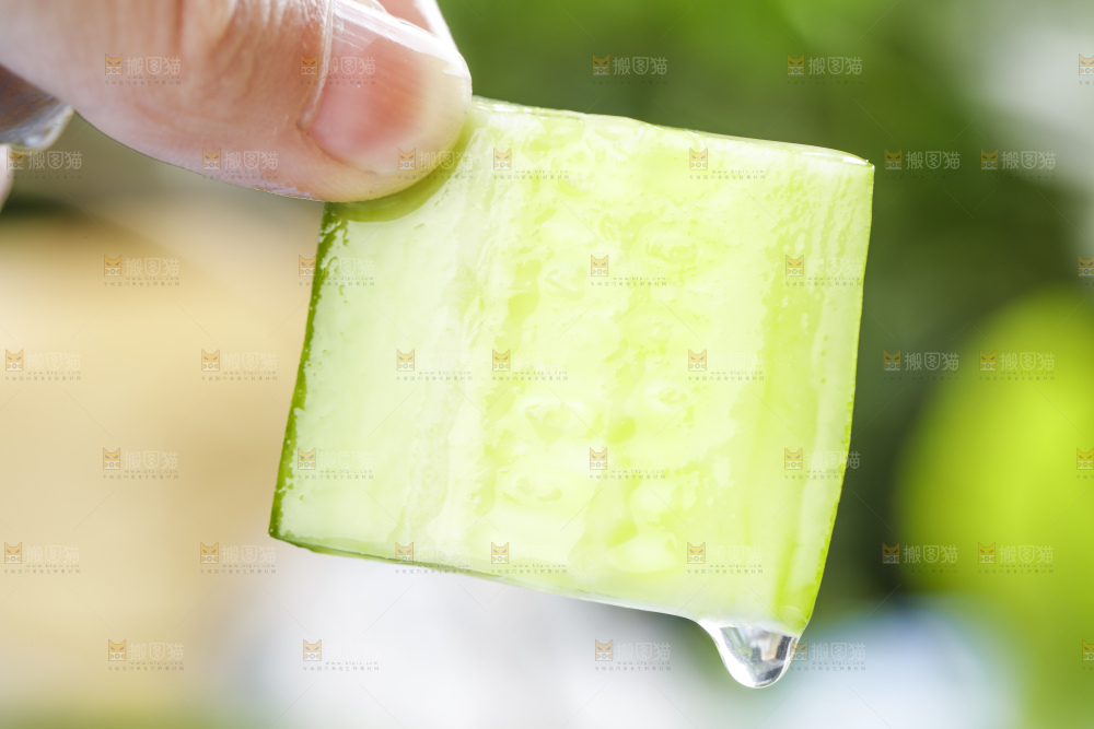 手里拿着青瓜