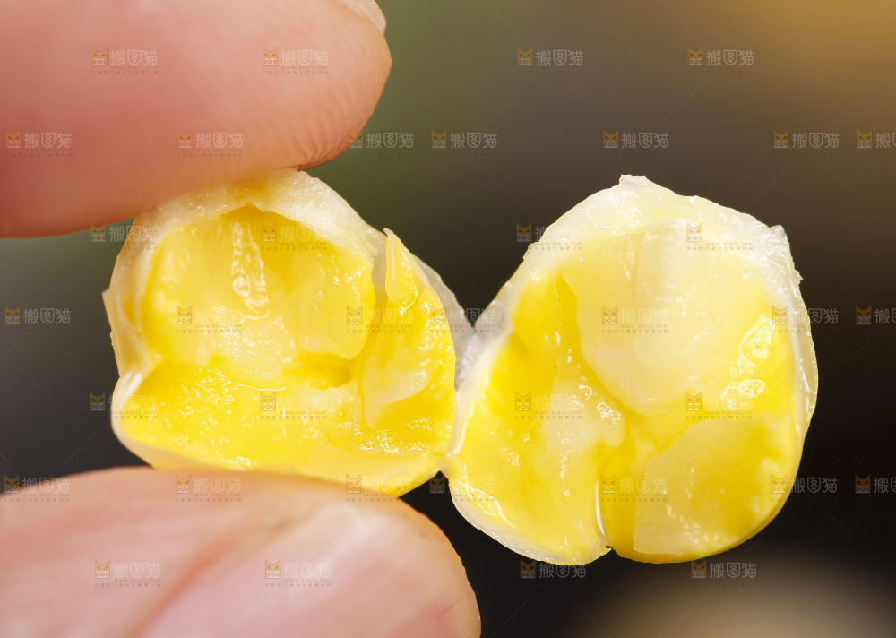 深底上放着玉米粒