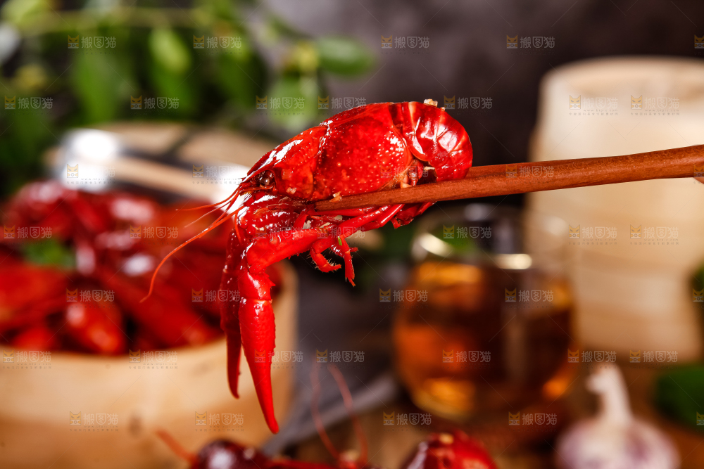 筷子上夹着香辣小龙虾