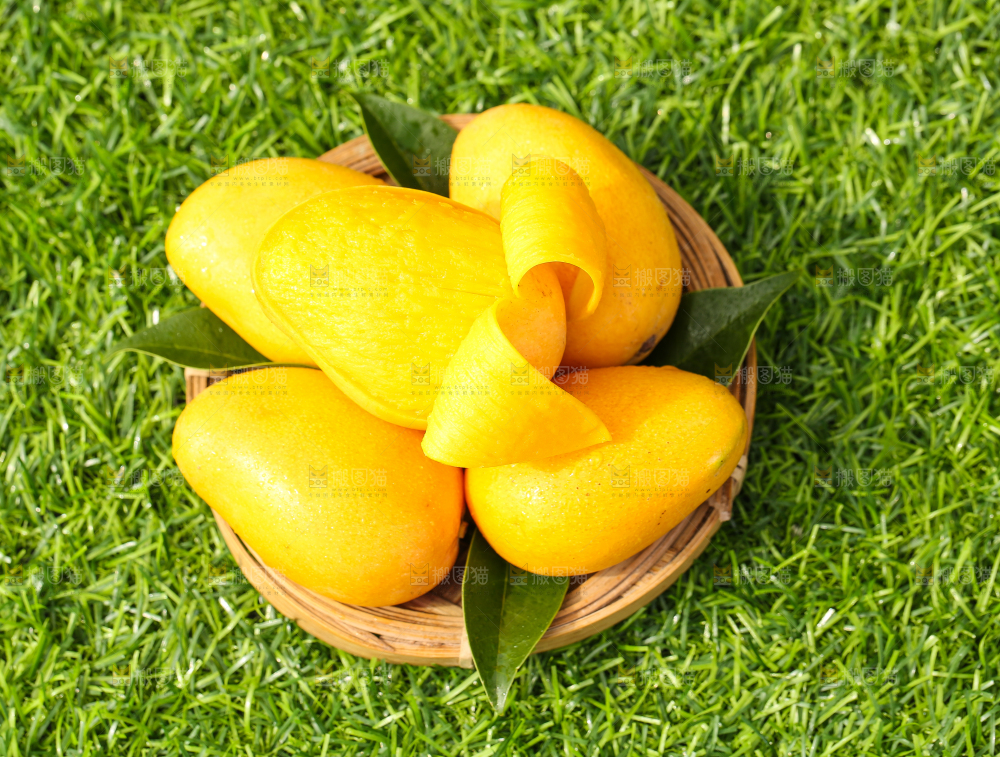 篮子里装着小台农芒