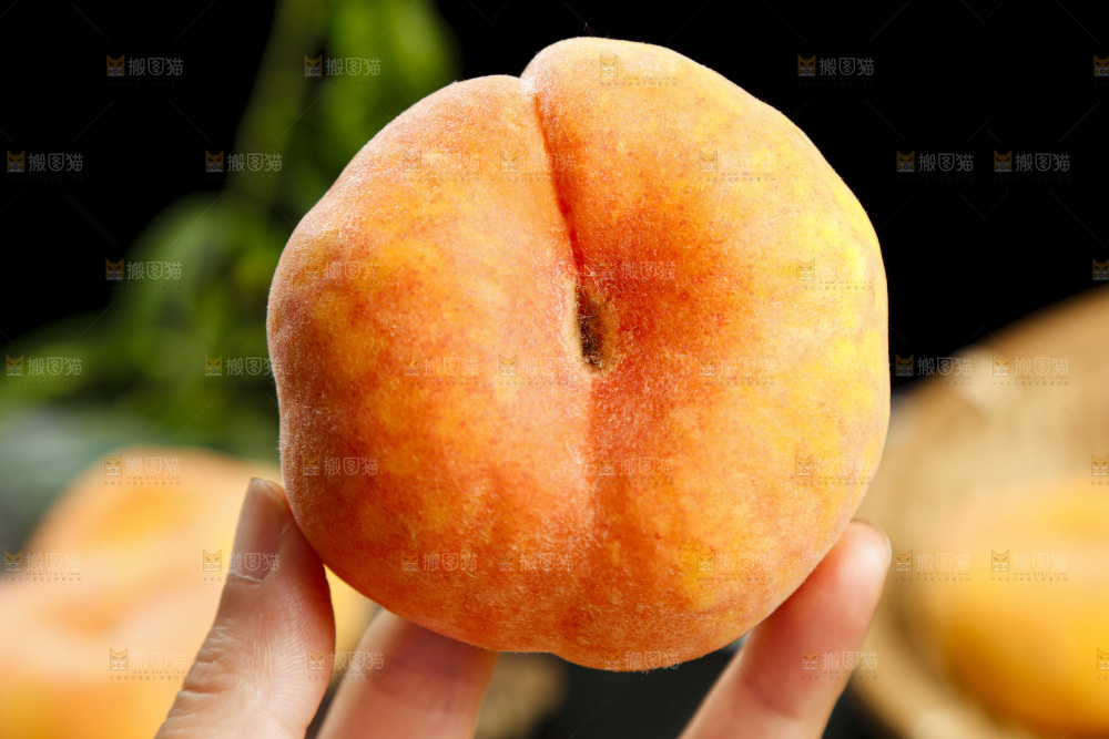 手里拿着陕西毛蟠桃