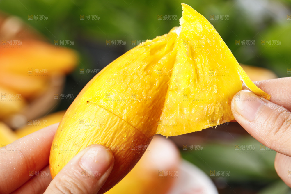 手里拿着新鲜芒果