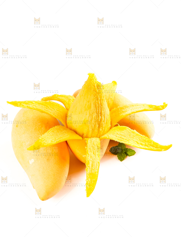 白底上放着云南鹰嘴芒