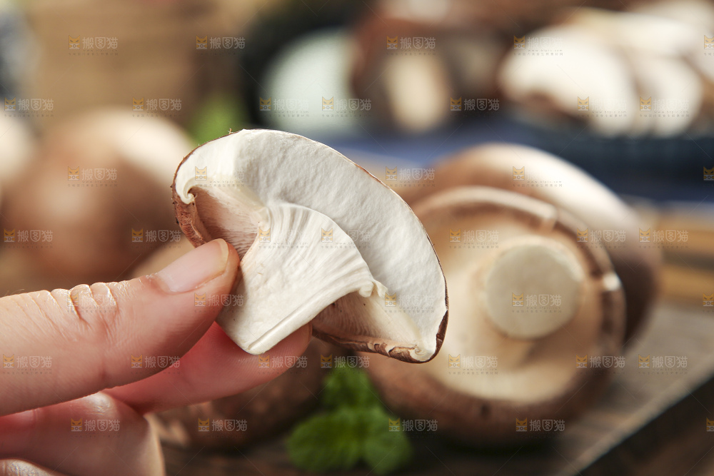 手里拿着菌菇