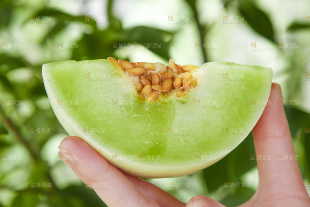 手里拿着玉菇香瓜