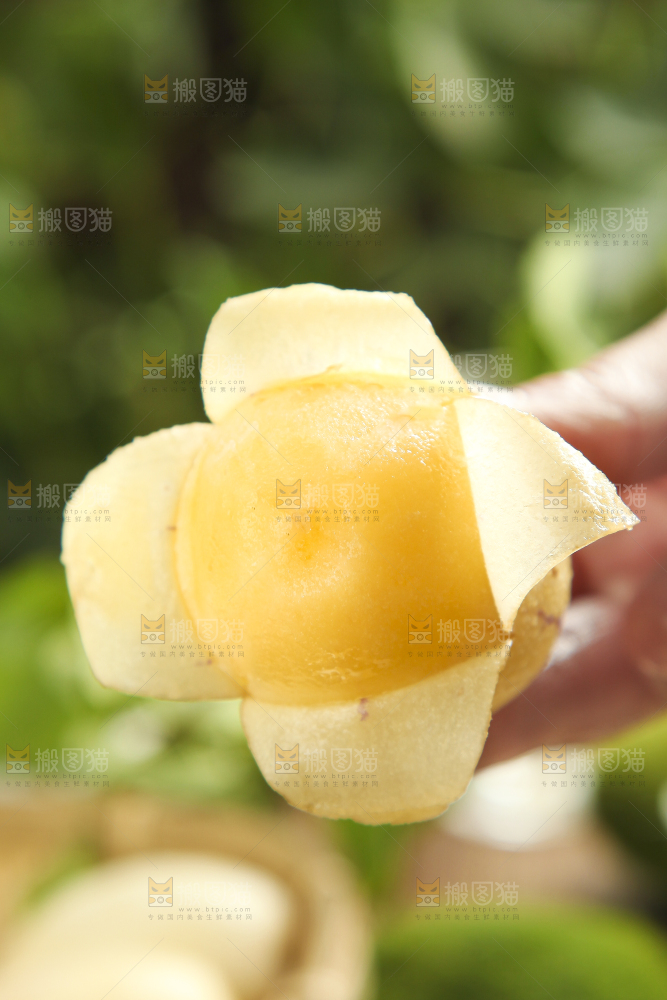 手里拿着人参圆果