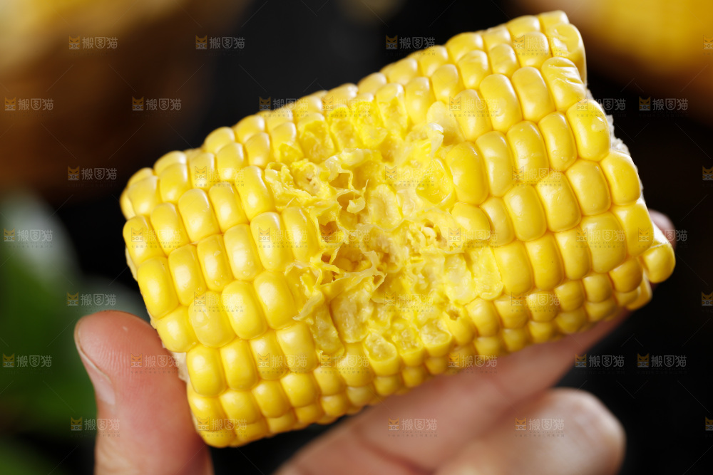 手里拿着新鲜玉米