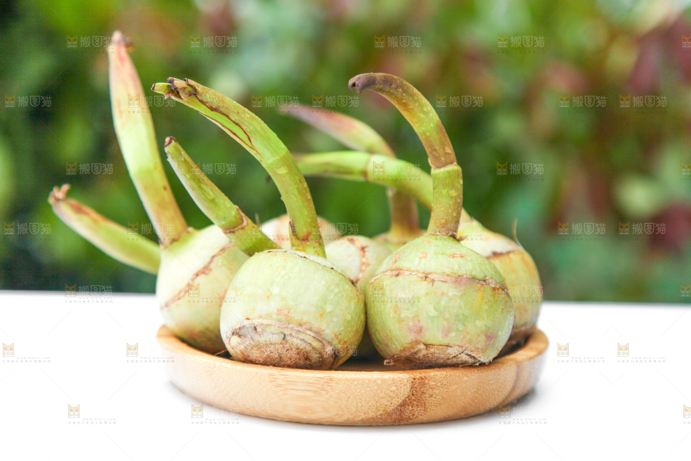 盘子里装着茨菇