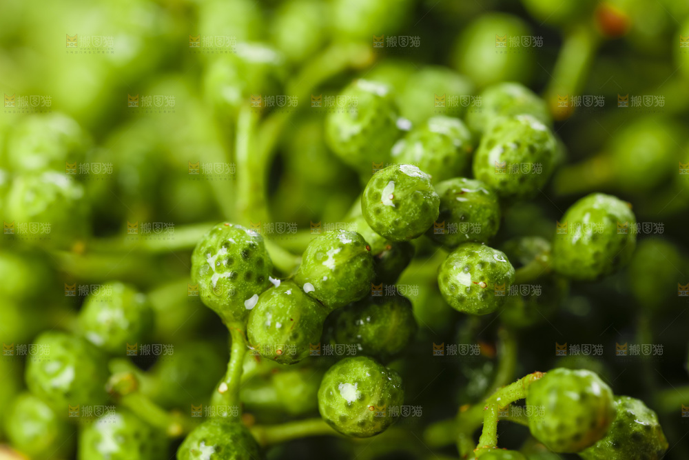 木板上的九叶青花椒