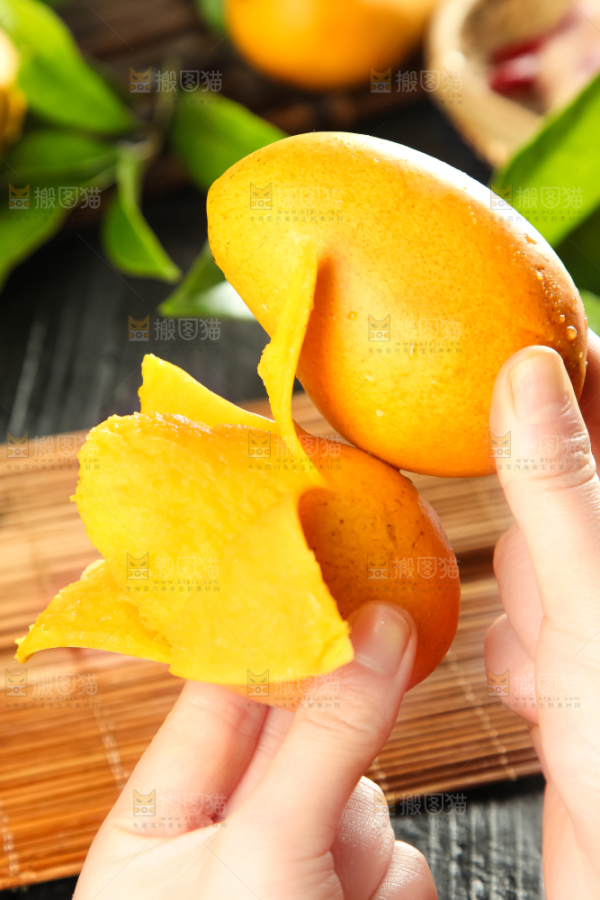 手里拿着台农芒果