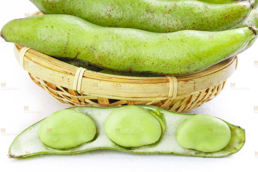 篮子里装着生蚕豆