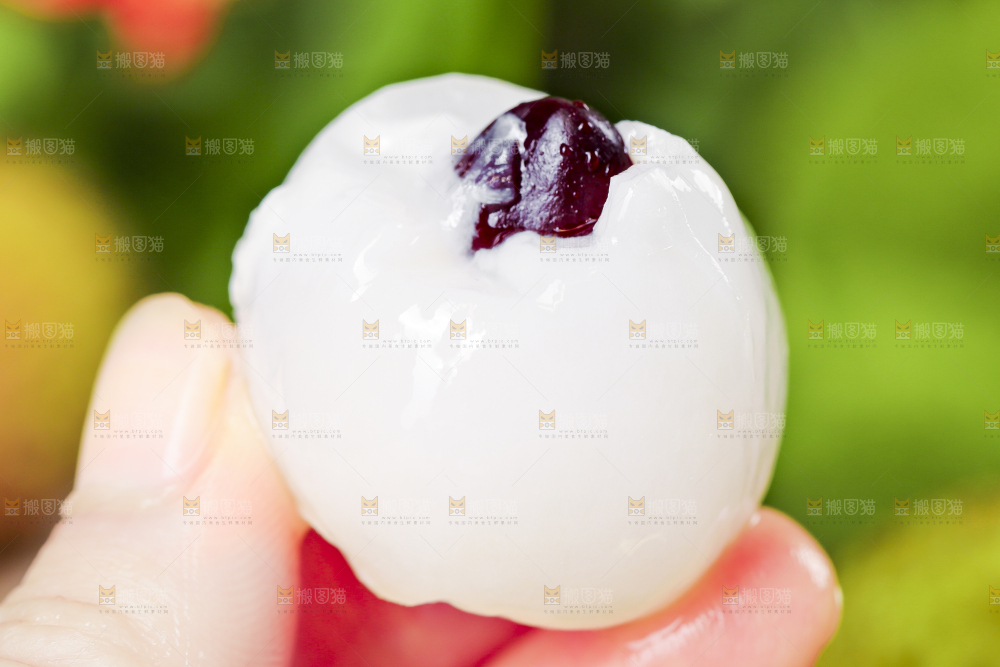 手里拿着妃子笑