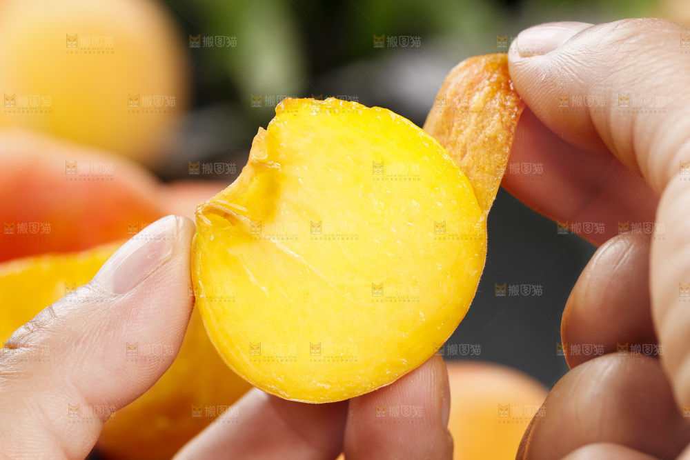 黑底上的毛蟠桃