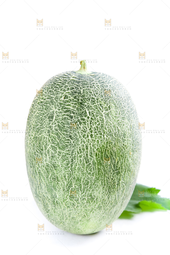 白底上摆放着哈密瓜