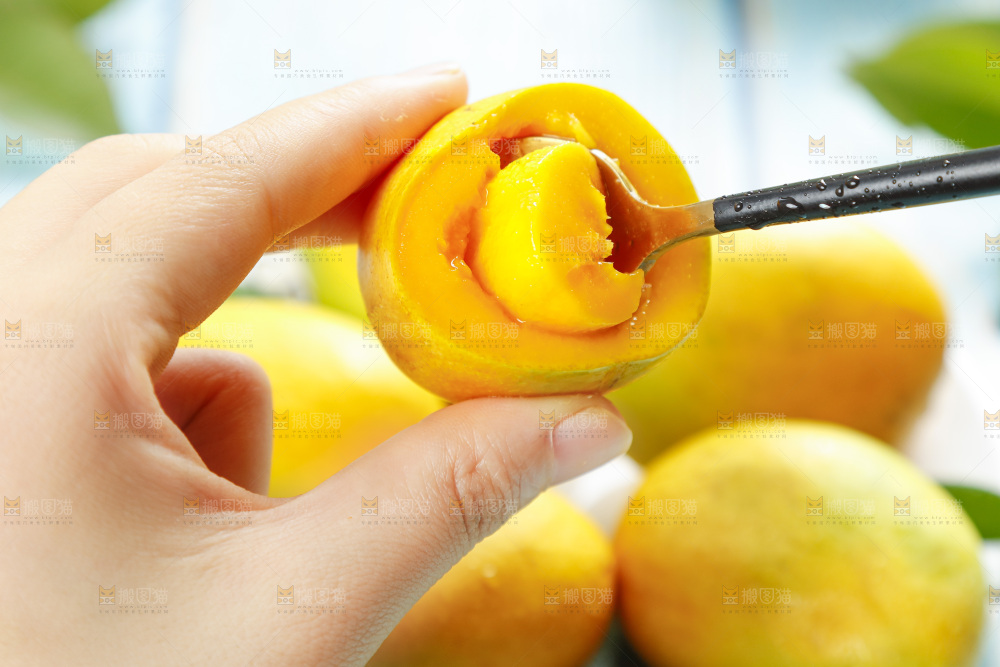 浅底上的海南小台农芒果