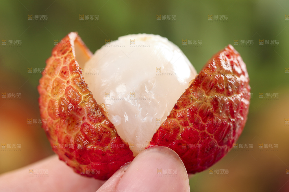 手里拿着荔枝