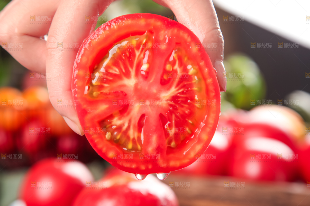 手里拿着攀枝花沙瓤西红柿