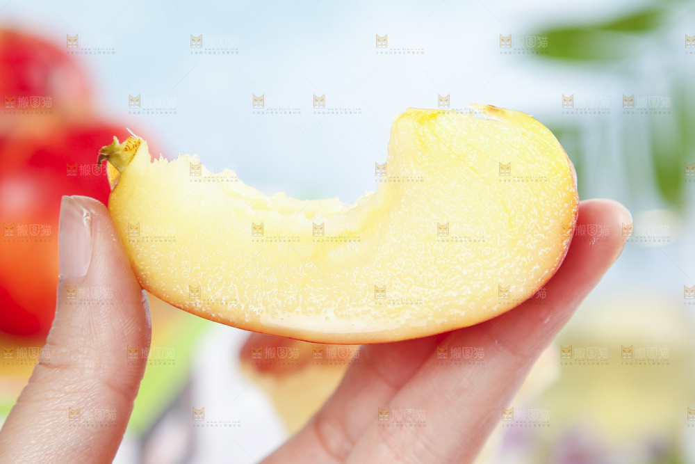 手里拿着红富士苹果