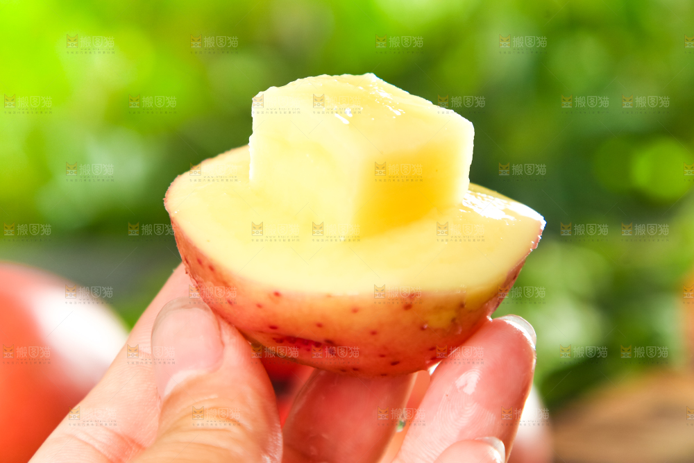 手里拿着土豆