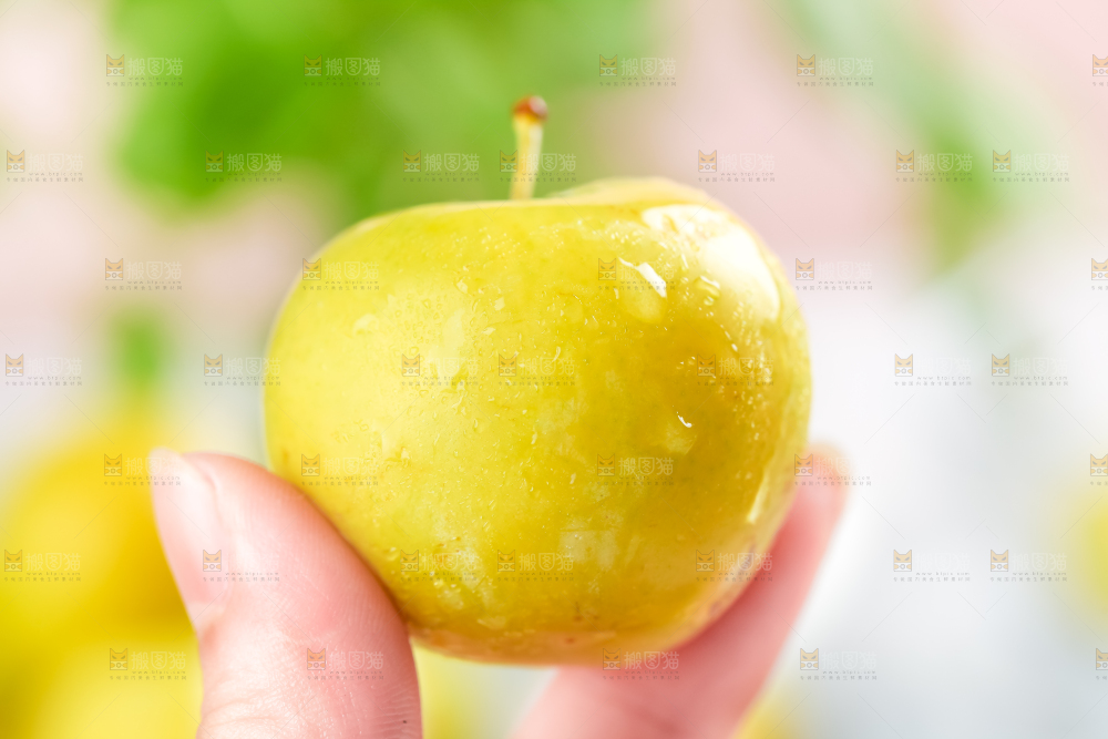 手里拿着黄金奈李