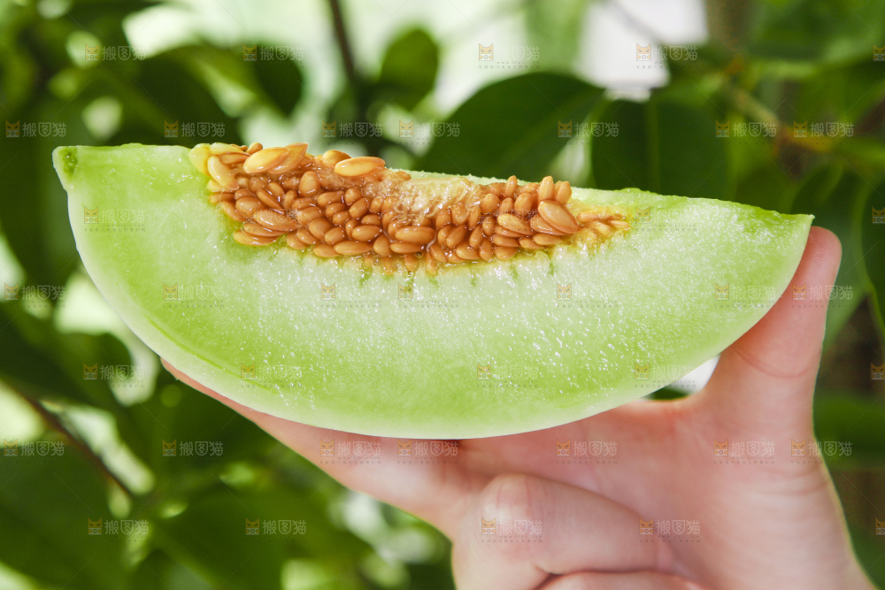 手里拿着玉菇香瓜