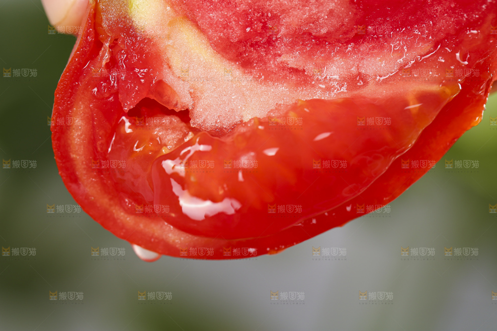 手里拿着米易沙瓤西红柿