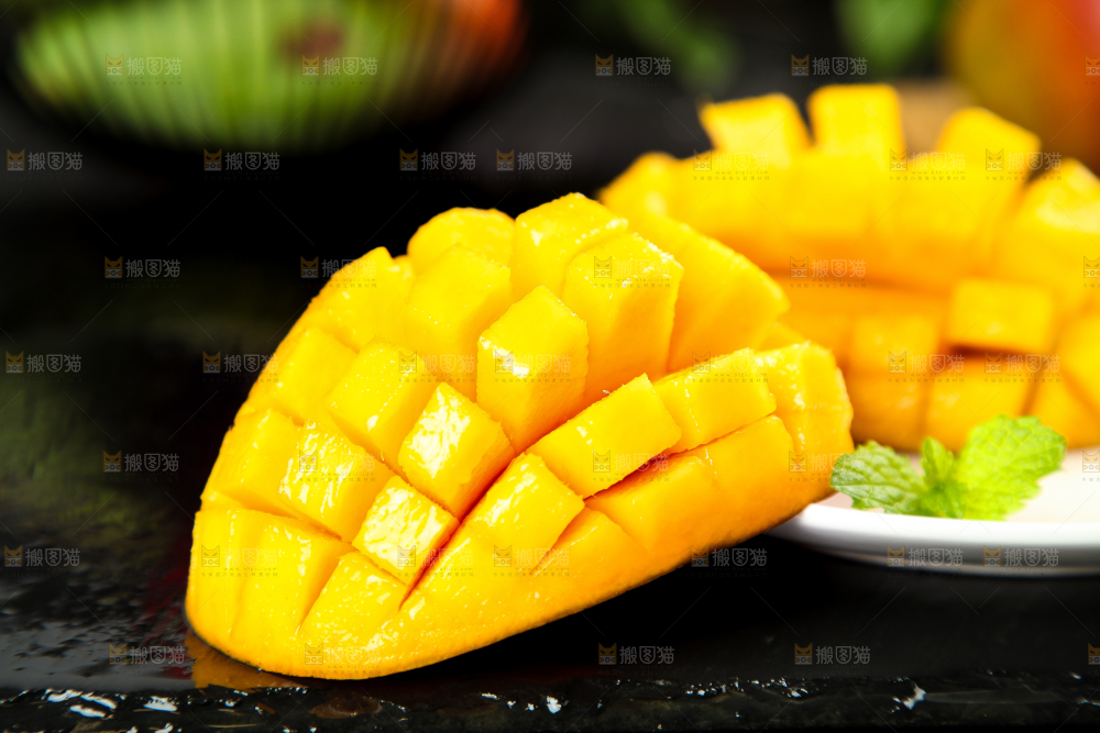 黑石板上的四川吉禄芒