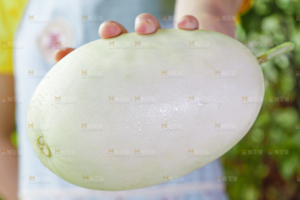 手里拿着玉菇香瓜