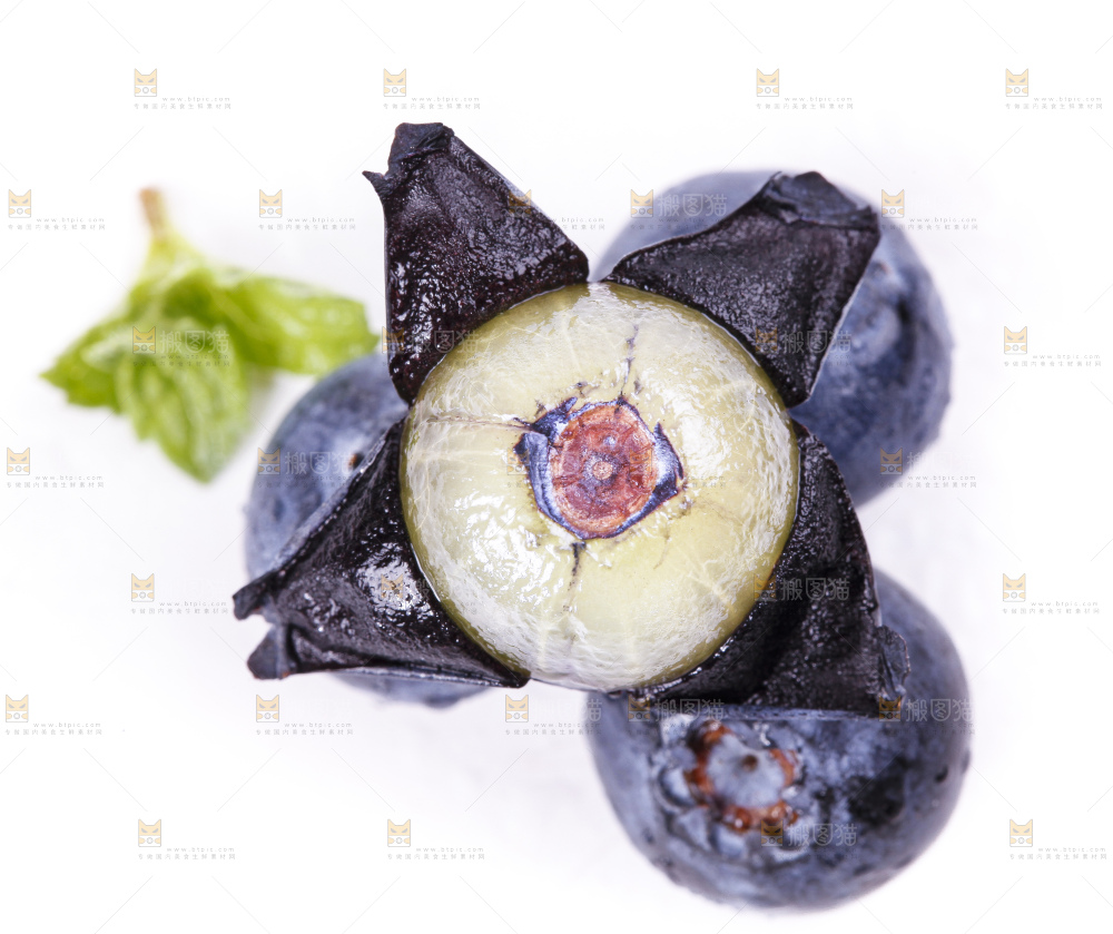 白底上摆放着蓝莓果