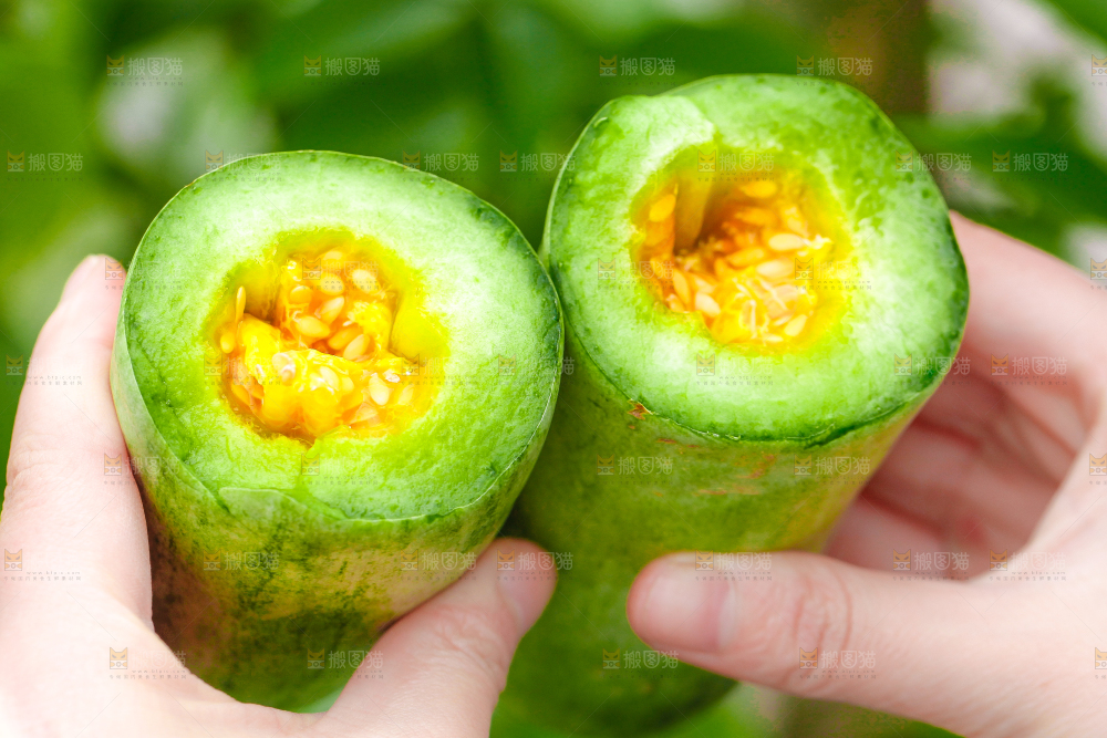 手里拿着羊角蜜甜瓜