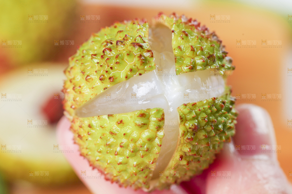 手里拿着妃子笑荔枝