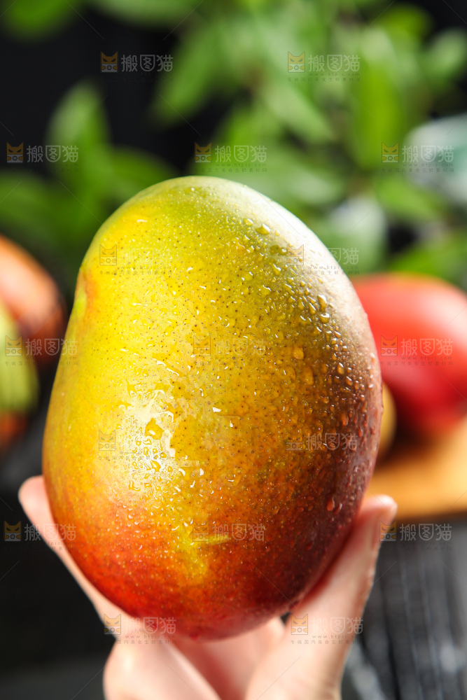 深底上的爱文芒