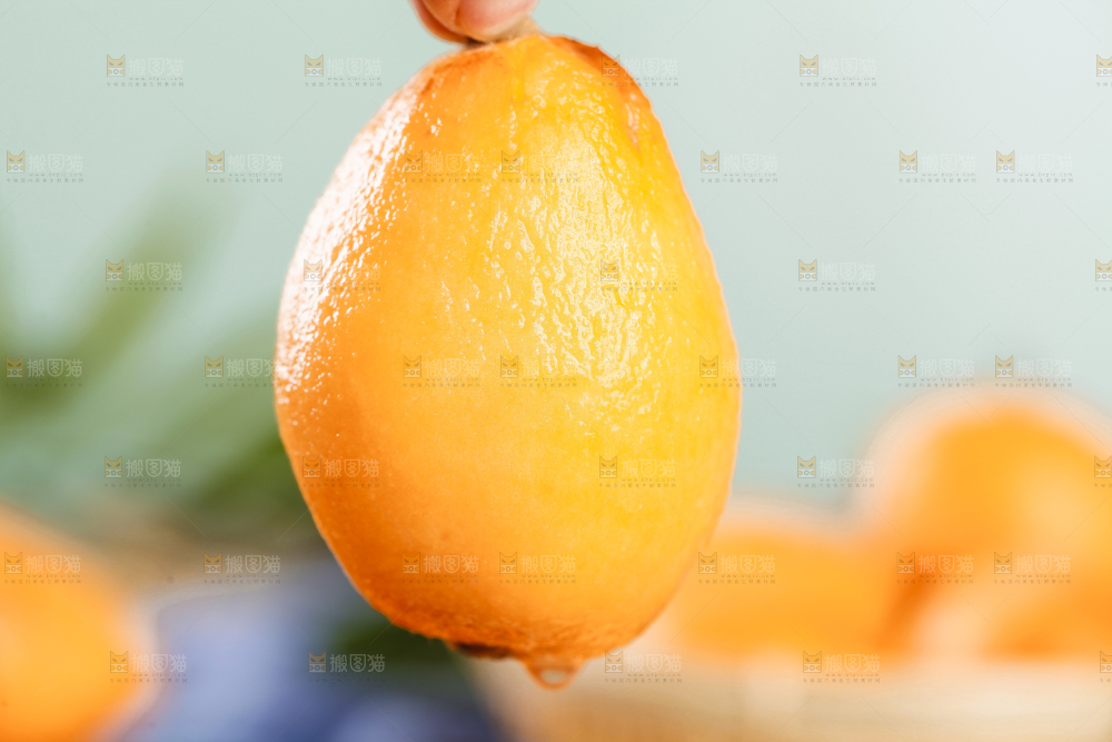 手里拿着枇杷果