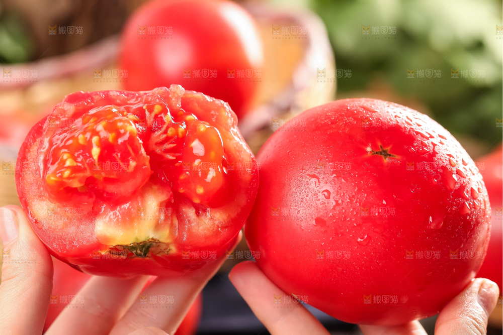 手里拿着攀枝花沙瓤西红柿