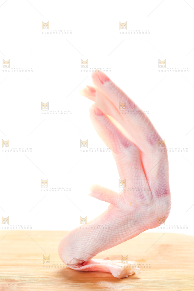白底上的生鲜鸭脚