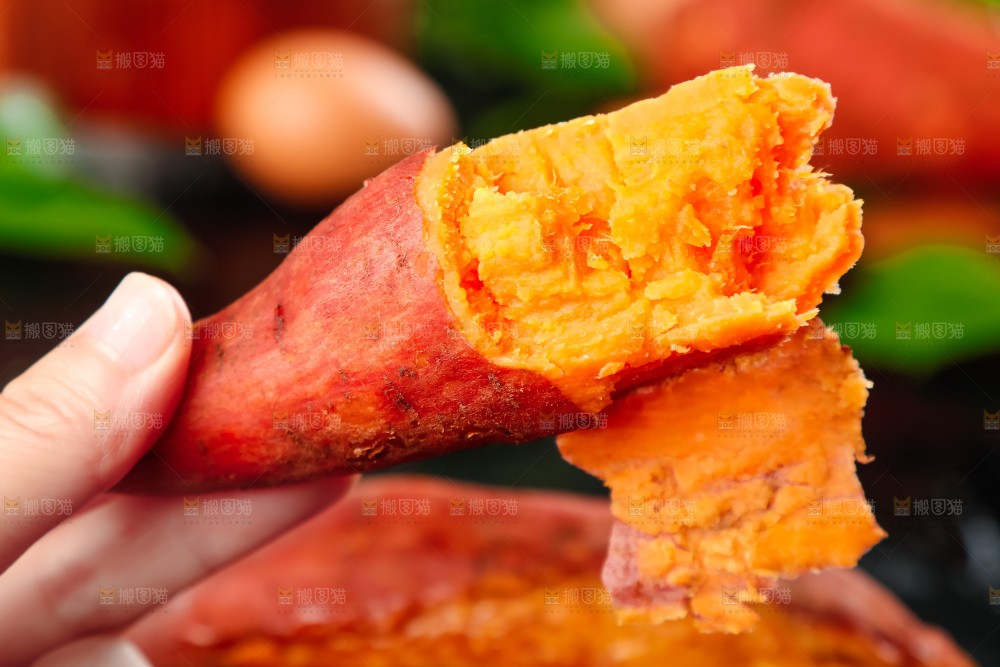 手里拿着板栗薯