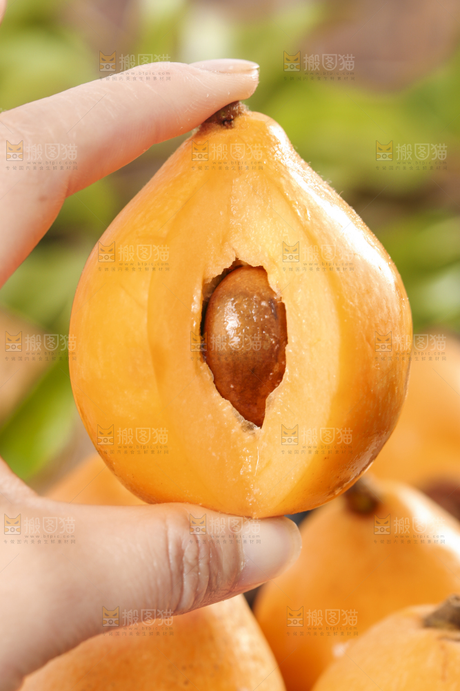 手里拿着枇杷果