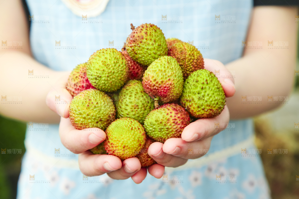 手里捧着荔枝