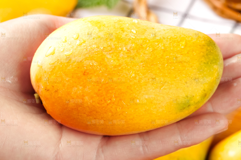 手里拿着小台芒